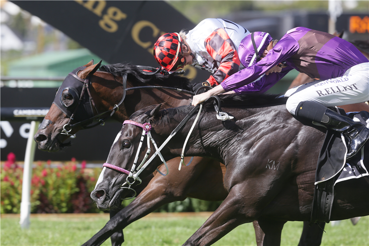 SAVY YONG BLONK(inner) winning the Skycity City Of Auckland Cup