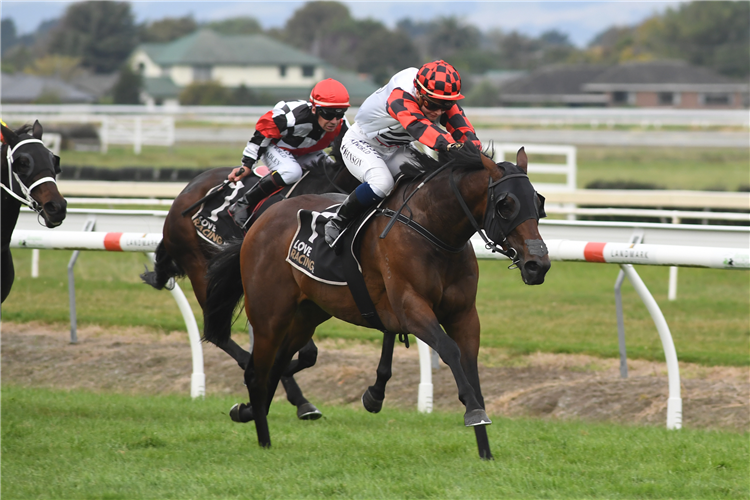 SAVY YONG BLONK winning the Japac Manawatu Breeders Stakes