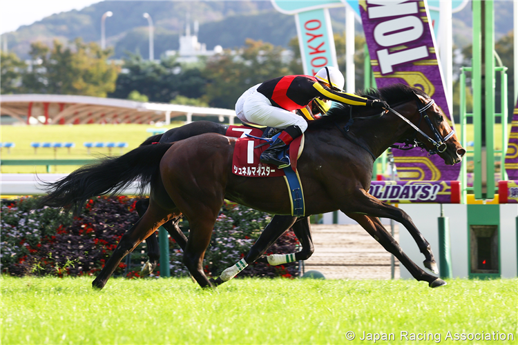 SCHNELL MEISTER winning the Mainichi Okan at Tokyo in Japan.