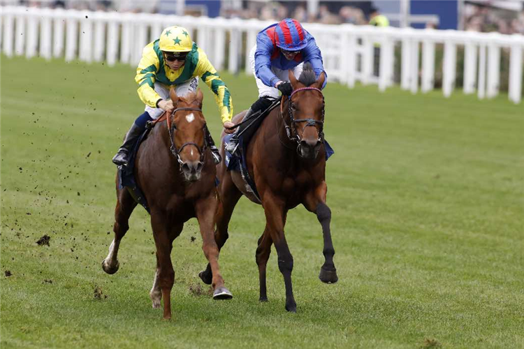 SEALIWAY (left) winning the Qipco Champion Stakes (Group 1)
