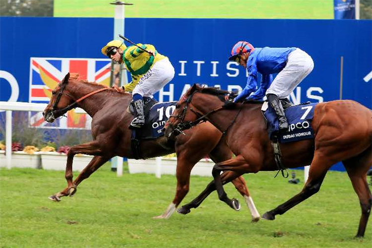 SEALIWAY winning the Qipco Champion Stakes (Group 1)