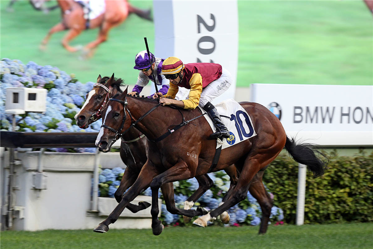 Seattle Choice makes it back-to-back wins at Sha Tin.