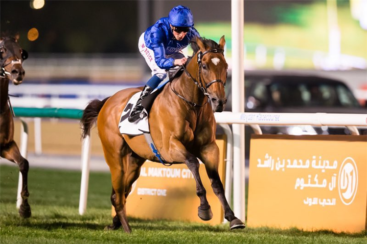 Secret Advisor wins at Meydan