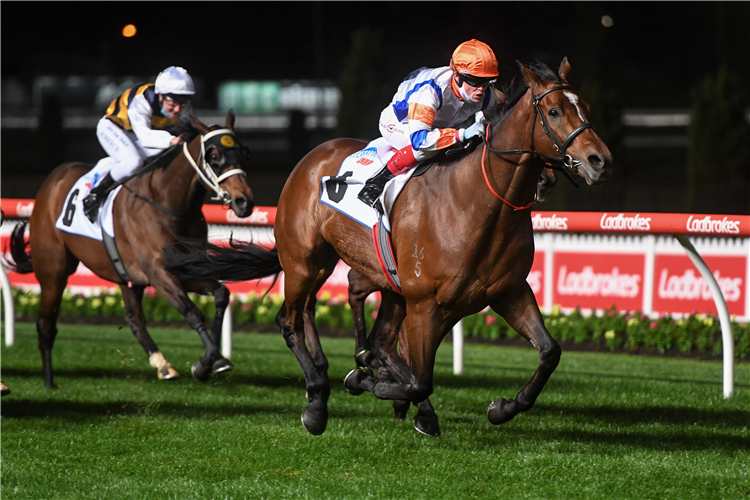 SECRET BLAZE winning the JRA Cup at Moonee Valley in Australia.