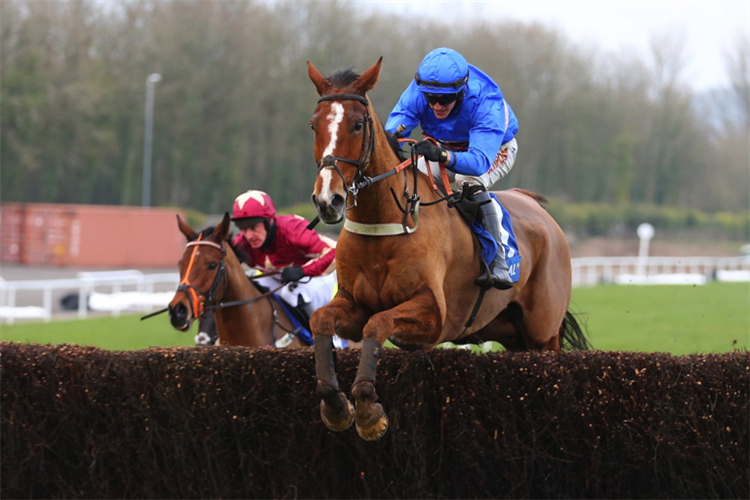 SECRET REPRIEVE winning the Welsh Grand National Handicap Chase.