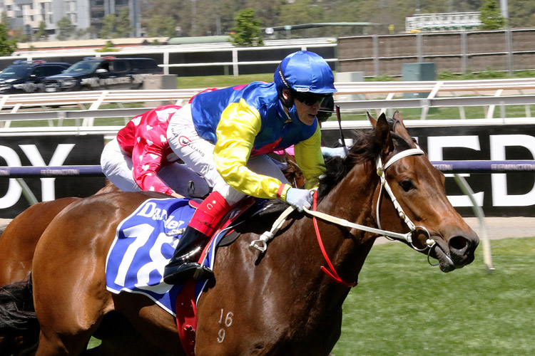 SEE YOU IN HEAVEN winning the Darley Ottawa Stakes