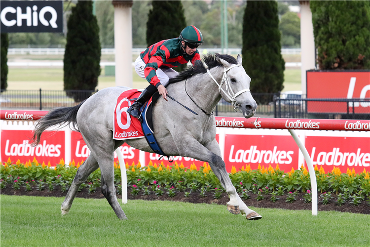 SENOR TOBA winning the MVRC Membership On Sale Now Plate at Moonee Valley in Moonee Ponds, Australia.