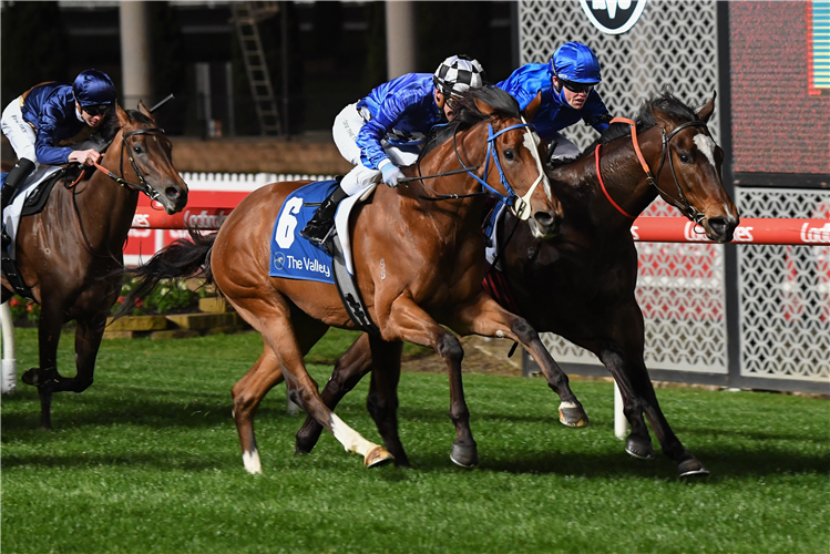 SERADESS (black/white cap) winning the Scarborough Stakes at Moonee Valley in Australia.