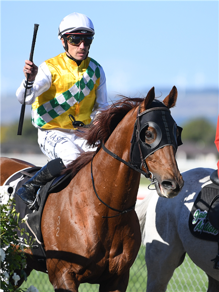 A satisfied Michael McNab brings Shadows Cast back to the winner’s enclosure at Awapuni