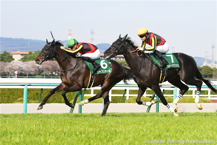 SHAHRYAR winning the Mainichi Hai at Hanshin in Japan.