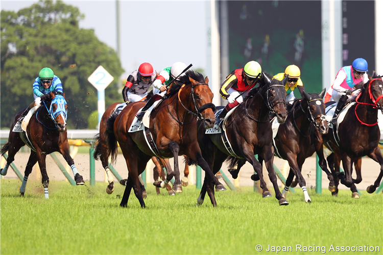 SHAHRYAR (yellow cap) winning the Tokyo Yushun (Japanese Derby) at Tokyo in Japan.