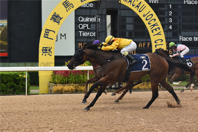 SHENG LI SUPERSTAR winning the THE SANYA