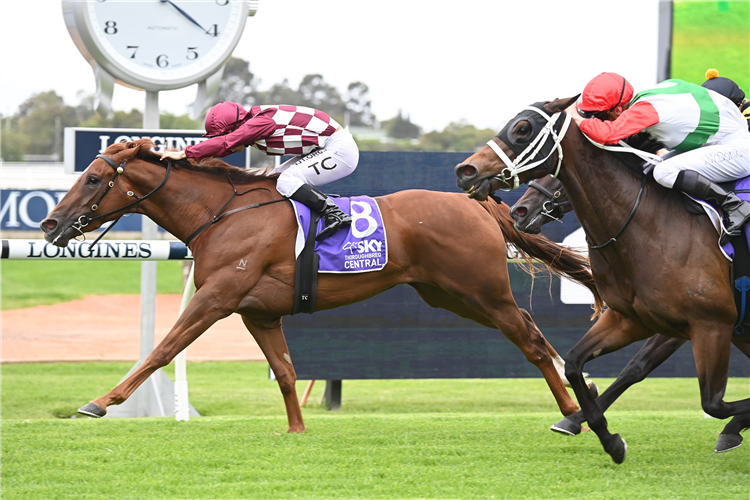 SHIHONKA winning the Cabra-Vale Diggers at Rosehill in Australia.