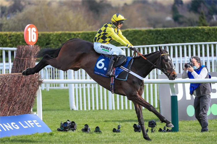 SHISHKIN winning the Sporting Life Arkle Challenge Trophy Novices' Chase (Grade 1) (GBB Race)