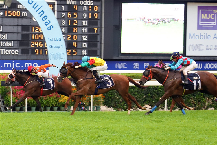SHOW DOWN(outside) winning the THE SAIKUNG