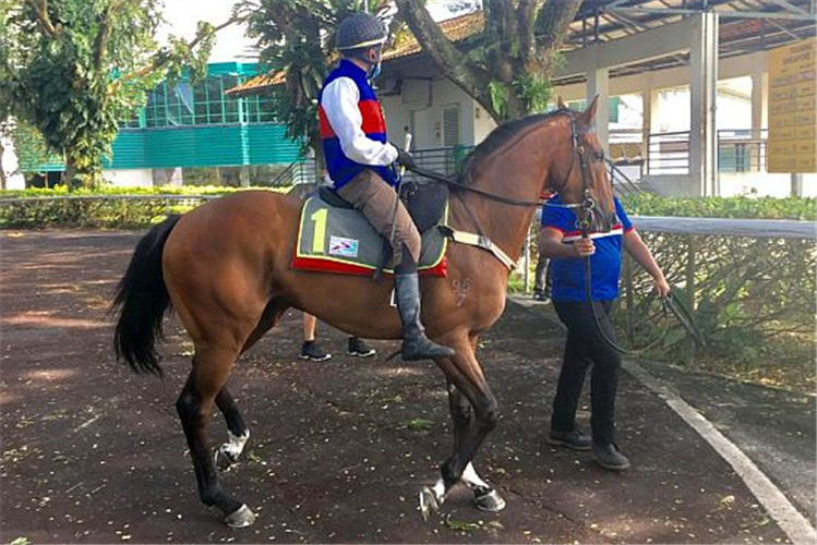 Jockey : MARC LERNER on the way to his barrier trial in Kranji.