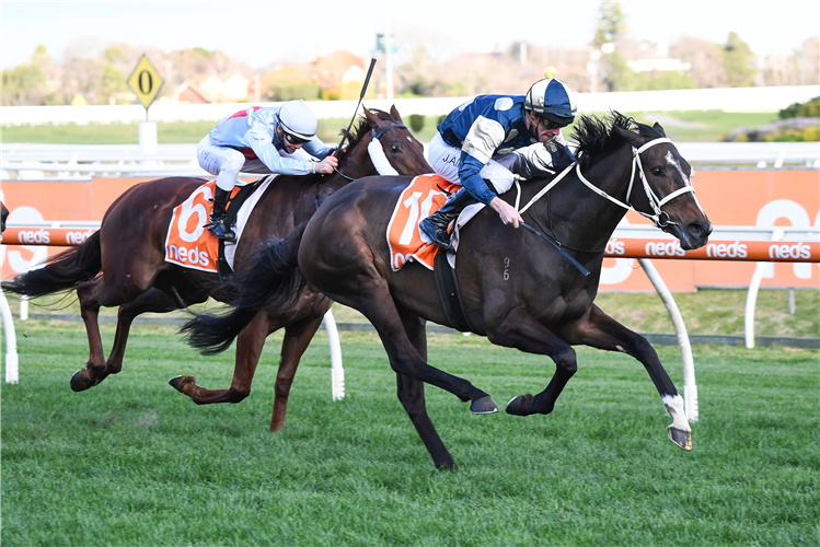 SIERRA SUE winning the P.B. Lawrence Stakes at Caulfield in Australia.