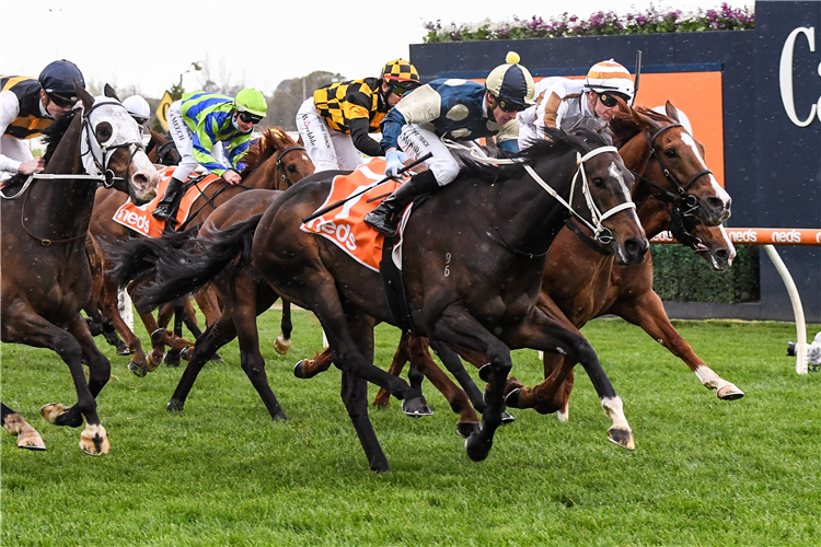 SIERRA SUE winning the Sir Rupert Clarke Stakes at Caulfield in Australia.