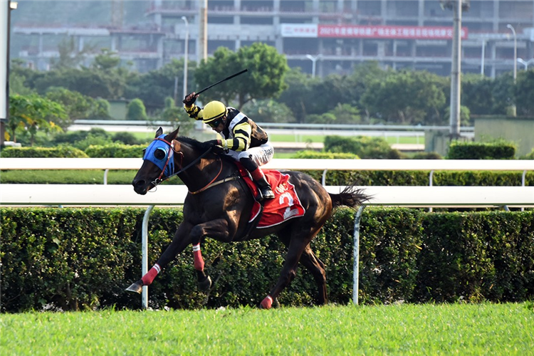 SIMON FUBUKI winning the SJM MACAU DERBY (GROUP 1-2nd Leg)