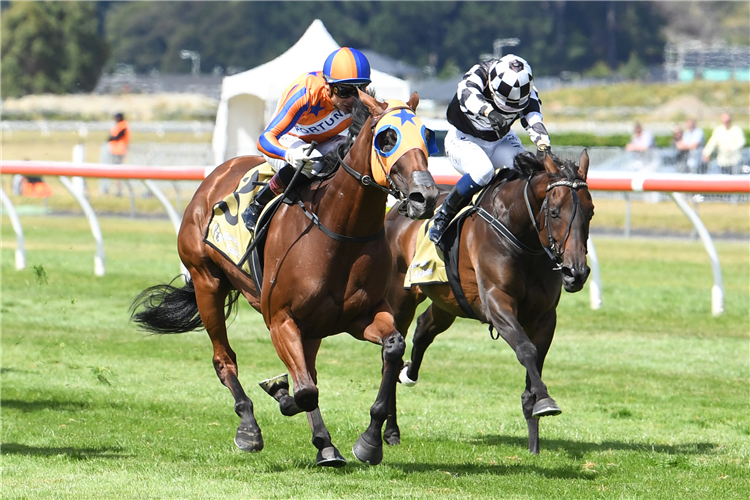 Sinarahma (inner) chases hard after eventual winner Melody Belle in the Gr.1 Harcourts Thorndon Mile (1600m)