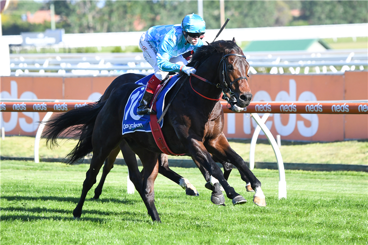 SINAWANN winning the Quayclean Kevin Heffernan Stks at Caulfield in Australia.