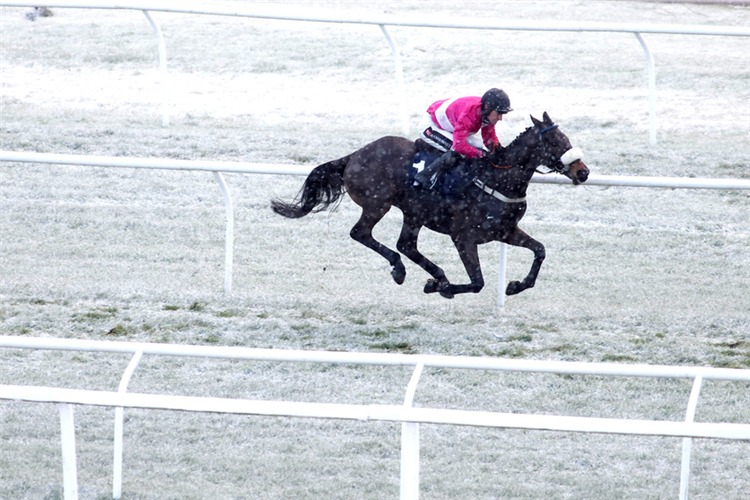Since Day One and Brian Hughes (no 11) winning The Living North EBF ‘National Hunt’ Maiden Hurdle in the snow.