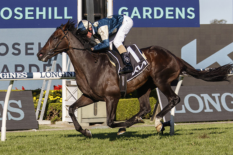 SIR DRAGONET winning the Kia Tancred Stks