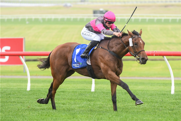 SIRILEO MISS winning the Big Screen Company Handicap at Ladbrokes Park Lakeside in Springvale, Australia.