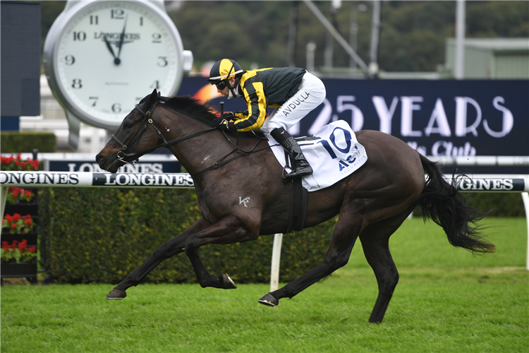 SKY COMMAND winning the Acy Securities Hcp at Randwick in Australia