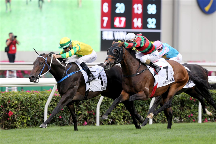 SKY DARCI (left) winning the The Bmw Hong Kong Derby 2021