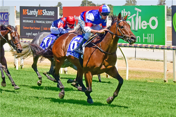SLIPINTOTHIS  winning the Vale Col Lawry Maiden Plate in Swan Hill, Australia. 