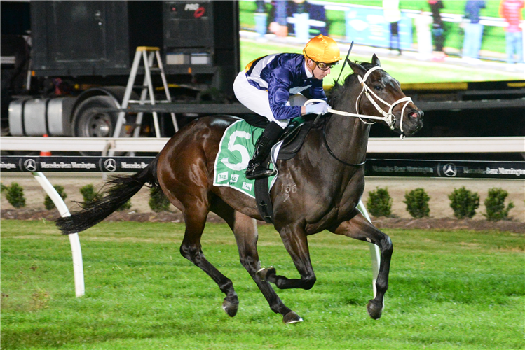 SLY CORNER winning the Hertz Cranbourne Maiden Plate in Cranbourne, Australia.