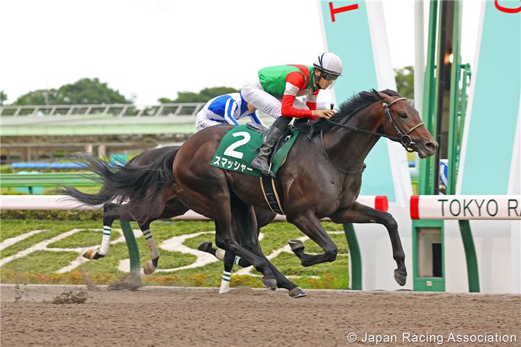 SMASHER winning the Unicorn Stakes at Tokyo in Japan.