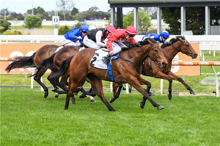 SNEAKY FIVE (red cap) winning the Thoroughbred Club Stakes at Caulfield in Australia.