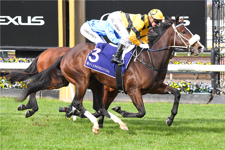 SNICKERDOODLEDANDY winning the VRC Member Ben Edney Trophy at Flemington in Australia.