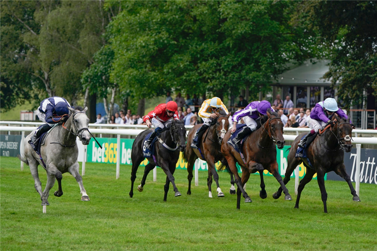 SNOW LANTERN (L) winning the Falmouth Stakes at Newmarket in England.