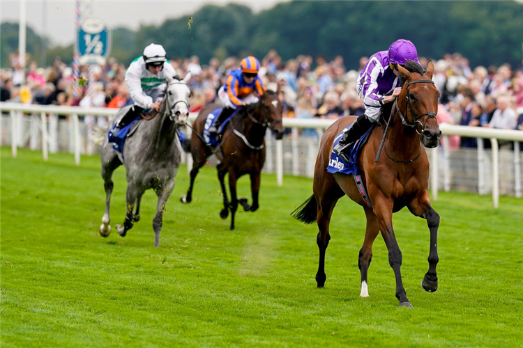 SNOWFALL winning the Yorkshire Oaks at York in England.