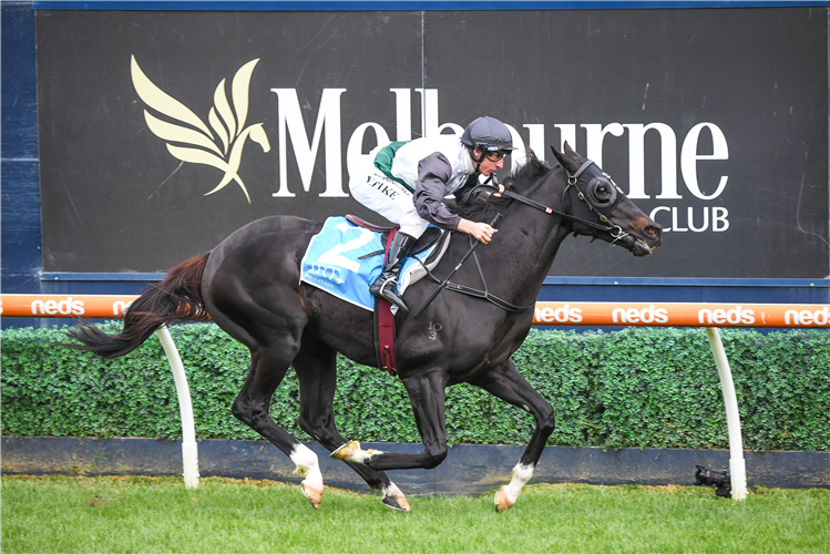 SO SI BON winning the IRT Vobis Gold Mile at Caulfield in Australia.