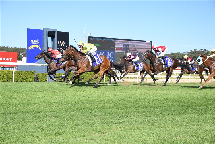 SOARING AMBITION winning the Magic Millions 2yo Classic at Wyong in Australia.