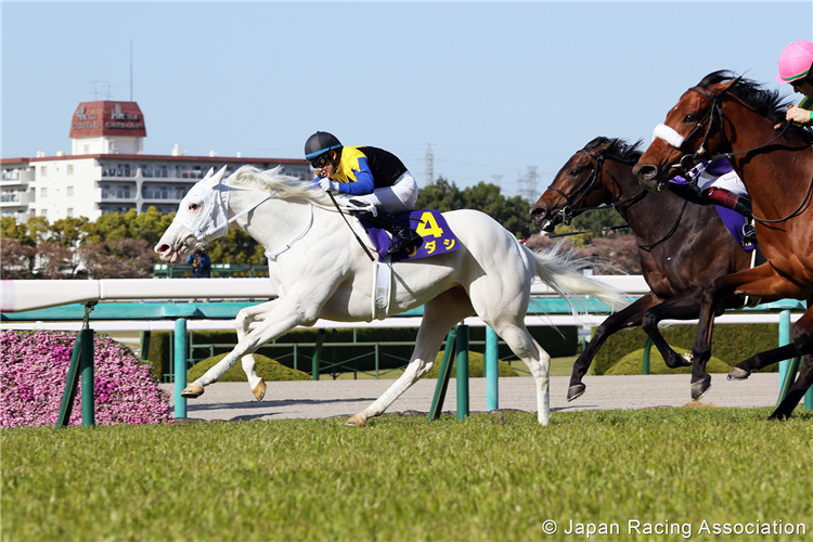 SODASHI winning the Oka Sho at Hanshin in Japan.