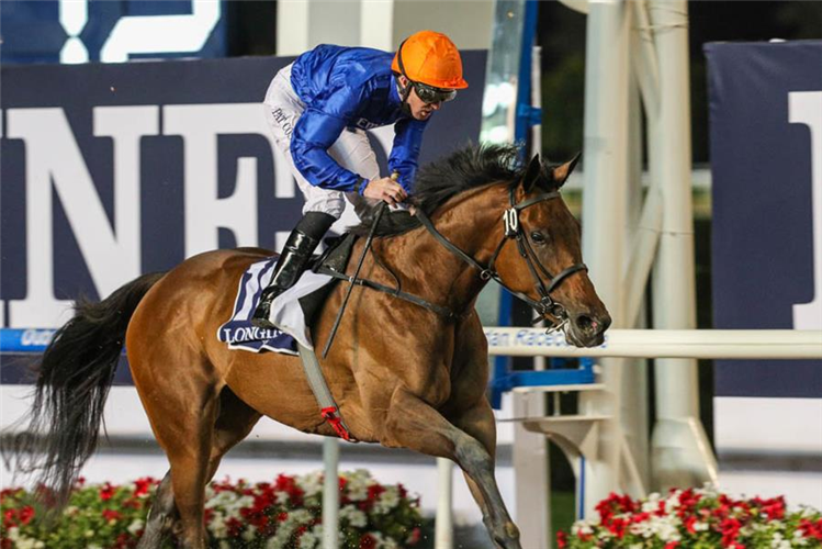 SOFT WHISPER winning the UAE 1000 Guineas Trial.