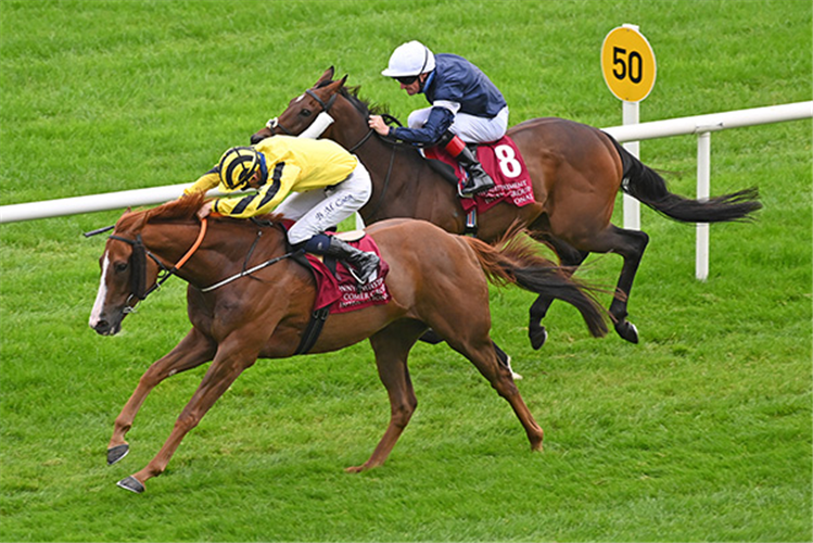 SONNYBOYLISTON winning the Comer Group International Irish St. Leger (Group 1)