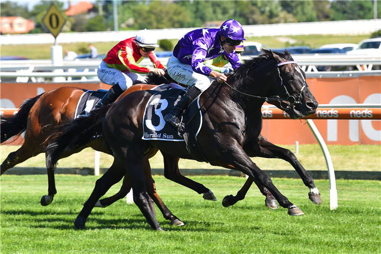 SOUND winning the Herald Sun Zipping Classic at Caulfield in Australia.