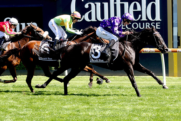 SOUND winning the Herald Sun Zipping Classic