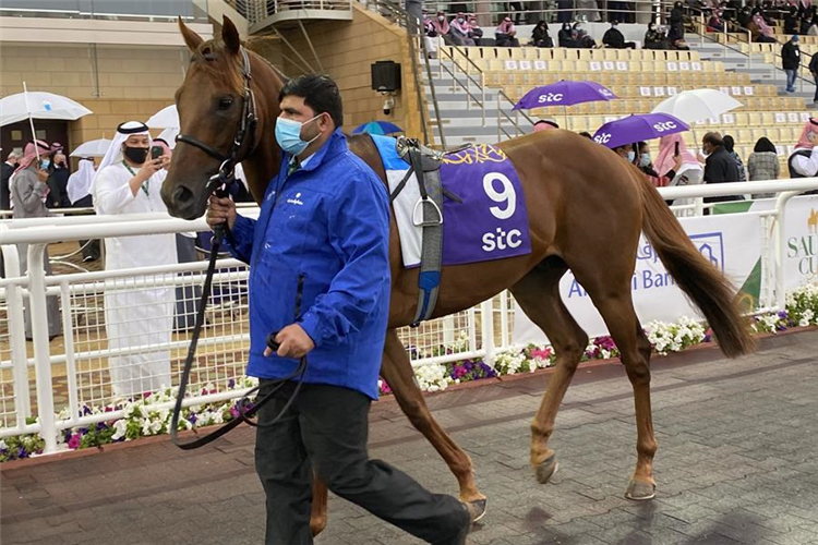 Space Blues prior to winning Saudi Cup's 1351 Turf Sprint