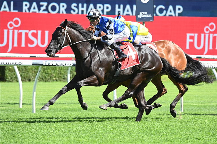 SPECIAL REWARD winning the Fujitsu General Razor Sharp at Randwick in Australia.