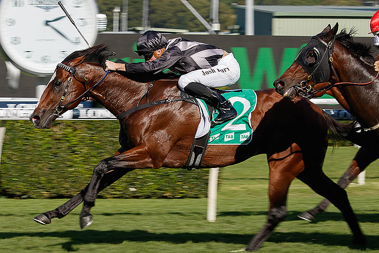 SPLINTEX winning the Tab Hall Mark Stakes