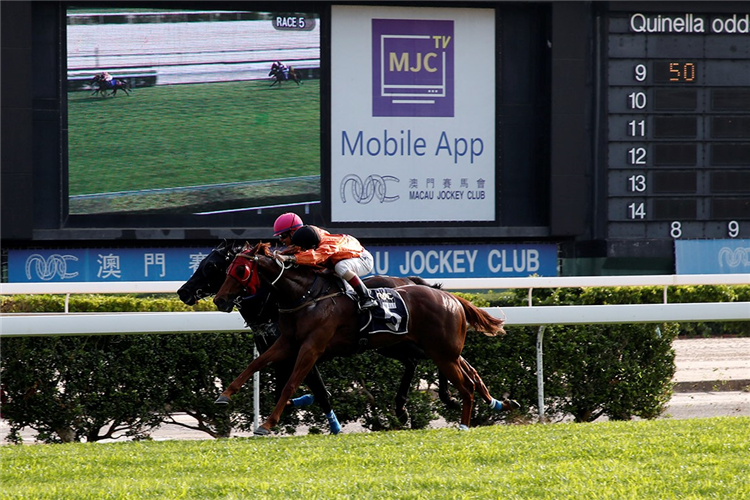 SPORT GENERAL (outside) winning the THE LUOYANG (Div 1)