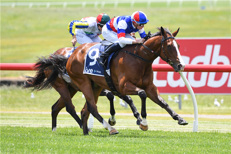 SQUID GAME winning the IVE > Print Plate at Ladbrokes Park Lakeside in Springvale, Australia.