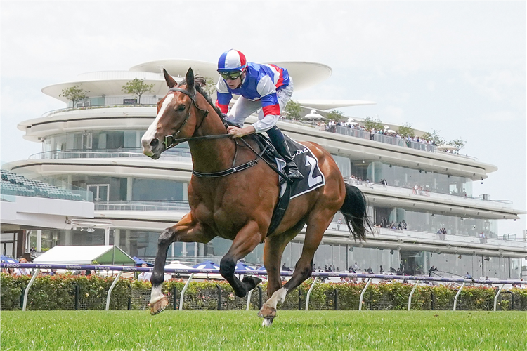 SQUID GAME winning the Lexus Holiday Plate (Bm70) at Flemington in Australia.